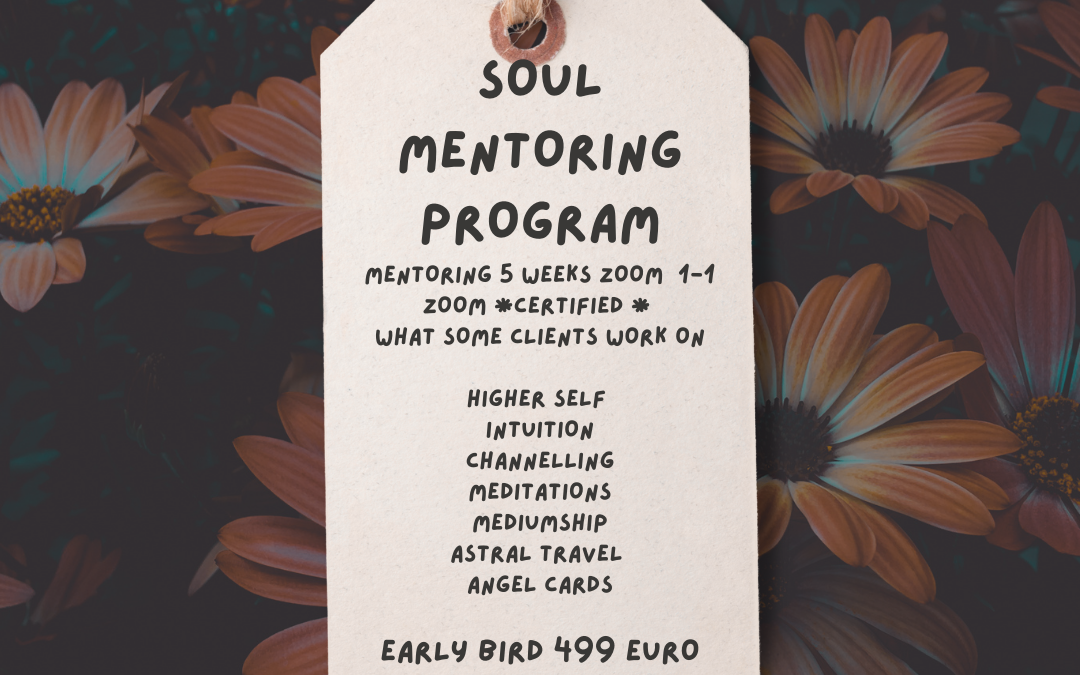 Soul Mentoring Package